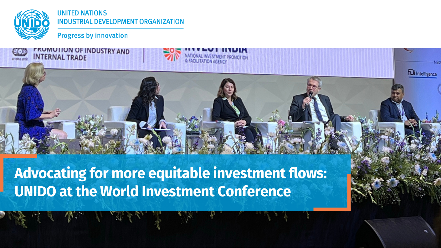 Advocating for more equitable investment flows UNIDO at the World